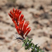 IMG 0026 (2)